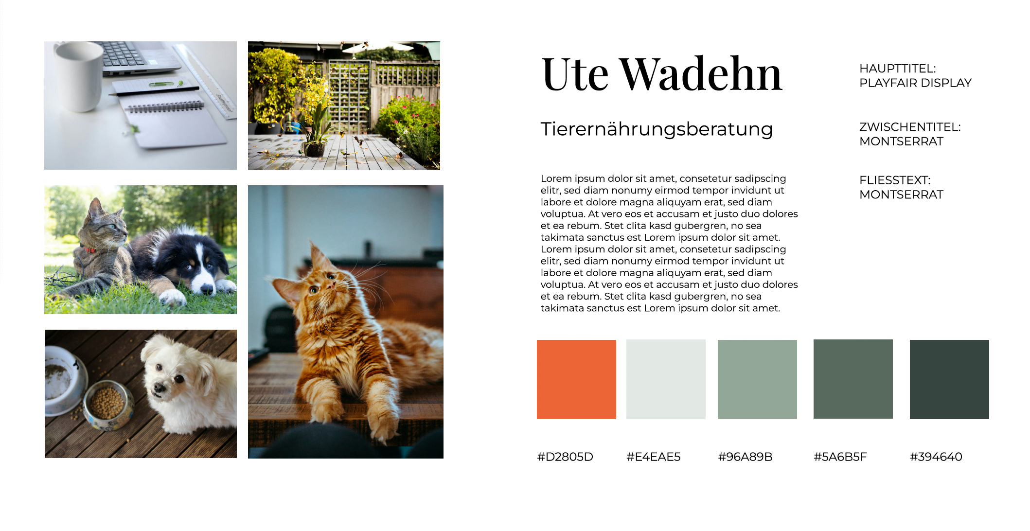 moodboard teb wadehn